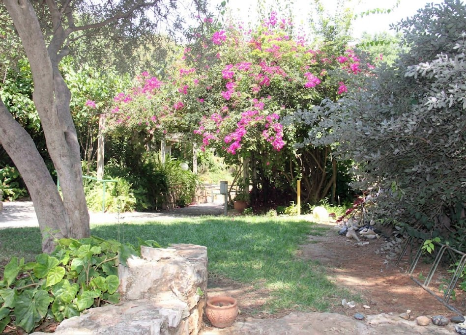 עמל ירושלים