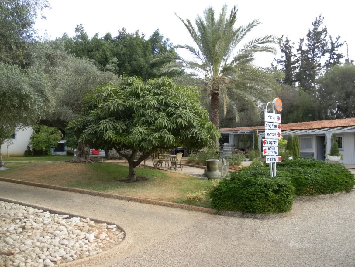 עמל הבית בראשון – ראשון לציון