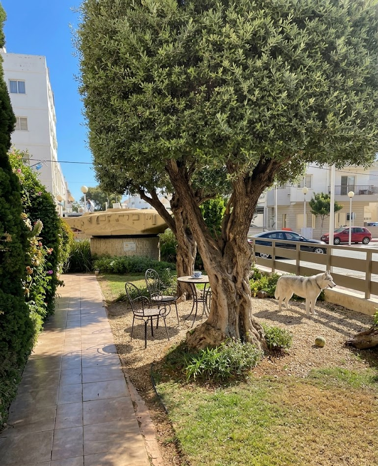 קריית יערים – טלז סטון