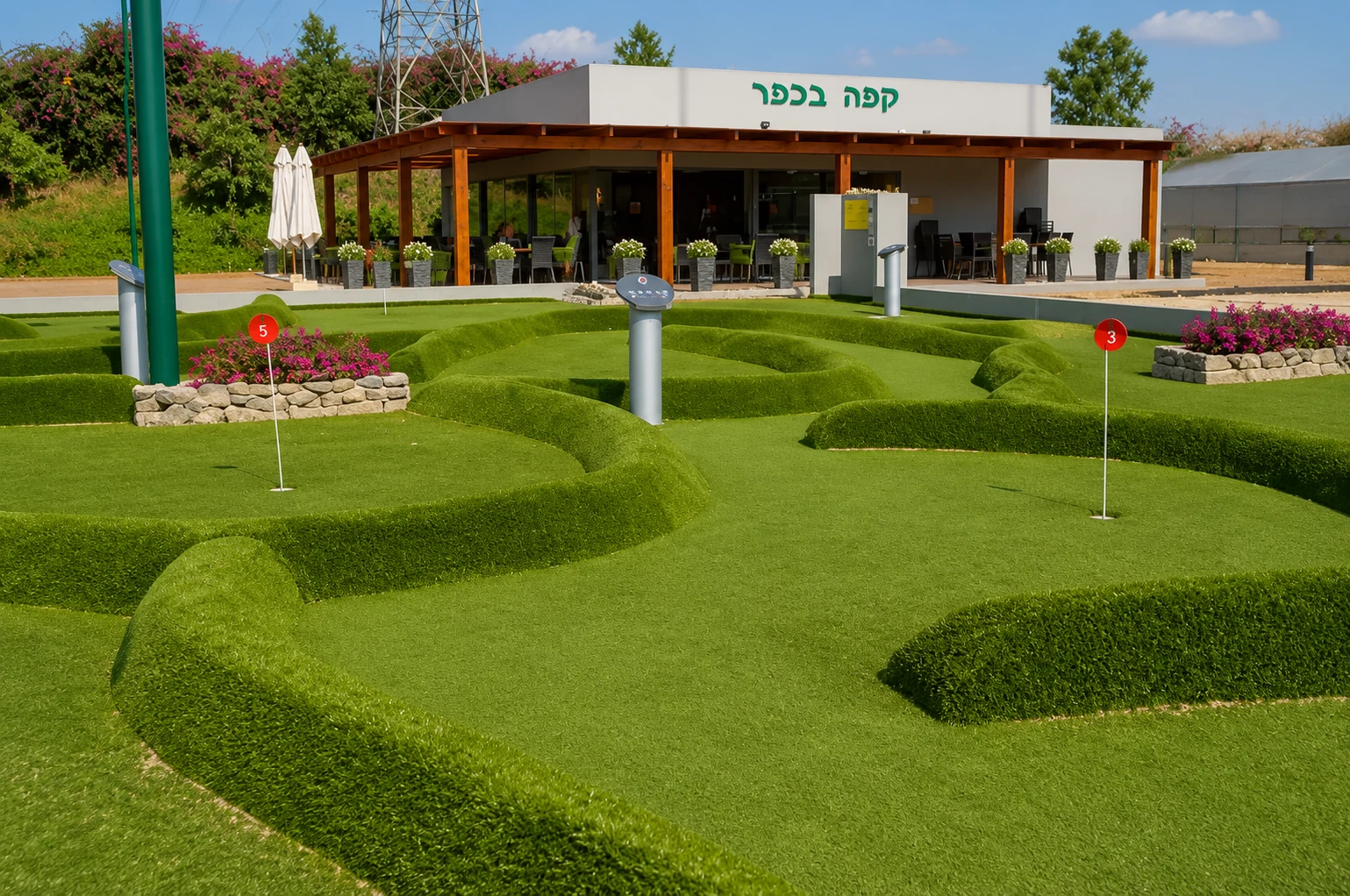פרוטיאה בכפר — תמונה ערוכה